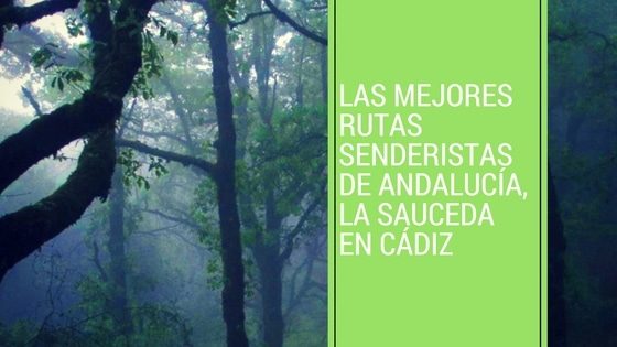 La Sauceda