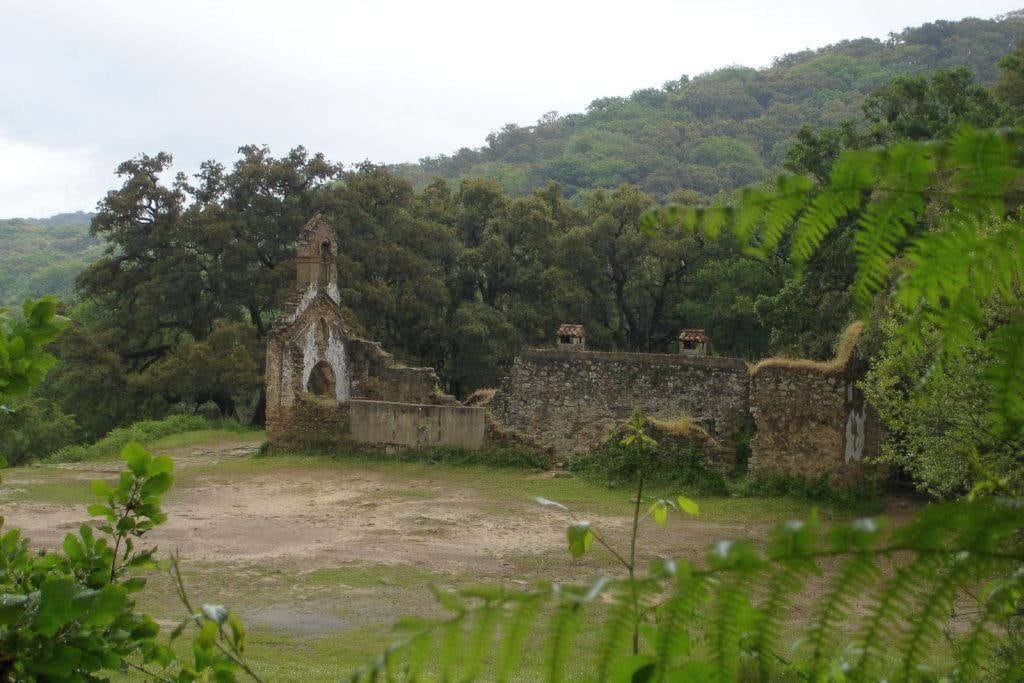 Sendero La Sauceda en Cádiz
