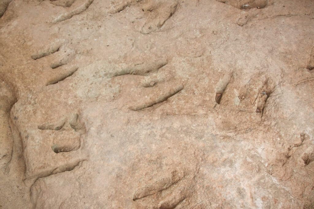 Huellas de dinosaurio del yacimiento de Santisteban del Puerto